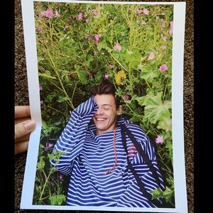 Harry Styles Poster